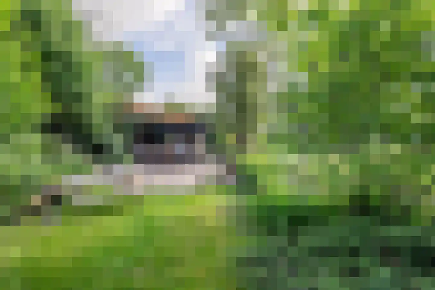 Klein Oosterwijk 9 Leerdam thumbnail 7
