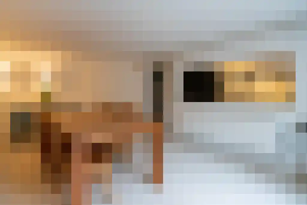 Klein Persijnlaan 2 Wassenaar thumbnail 10