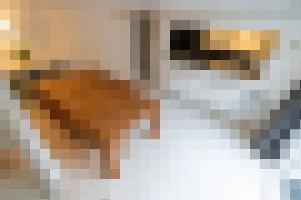 Klein Persijnlaan 2 Wassenaar thumbnail 11