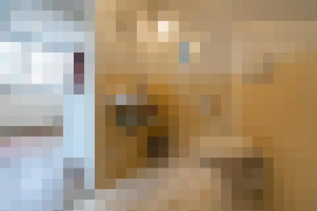 Klein Persijnlaan 2 Wassenaar thumbnail 31