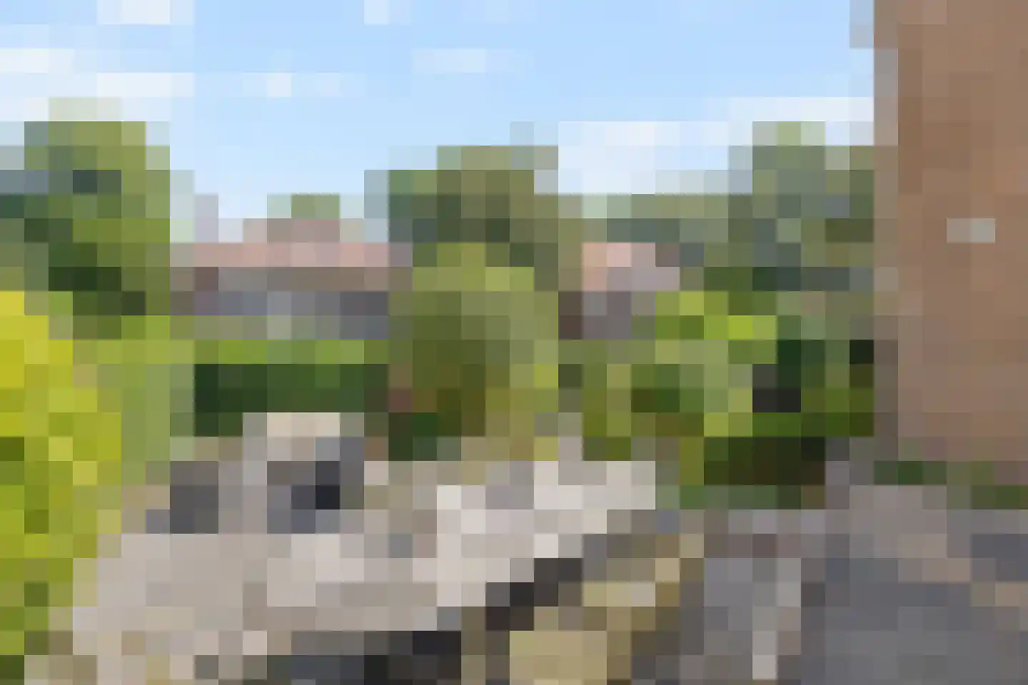 Klein Persijnlaan 2 Wassenaar thumbnail 37