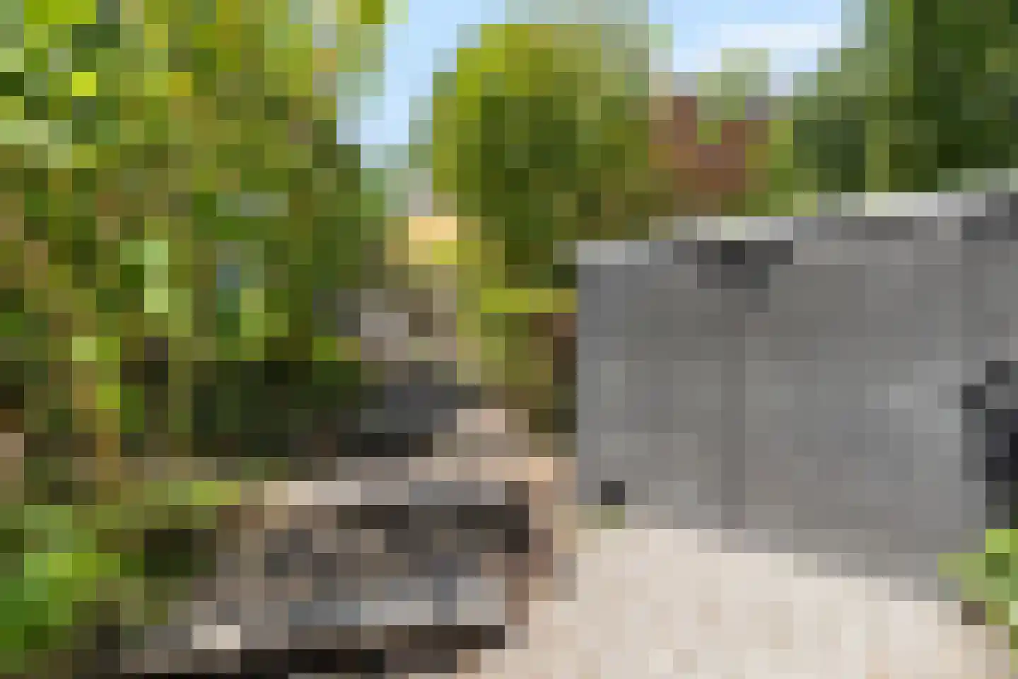 Klein Persijnlaan 2 Wassenaar thumbnail 4