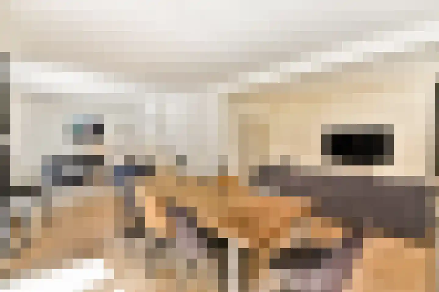 Klein Persijnlaan 35 Wassenaar thumbnail 11