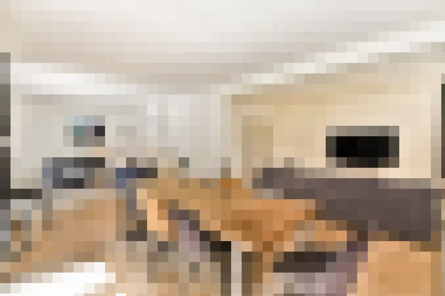 Klein Persijnlaan 35 Wassenaar thumbnail 12