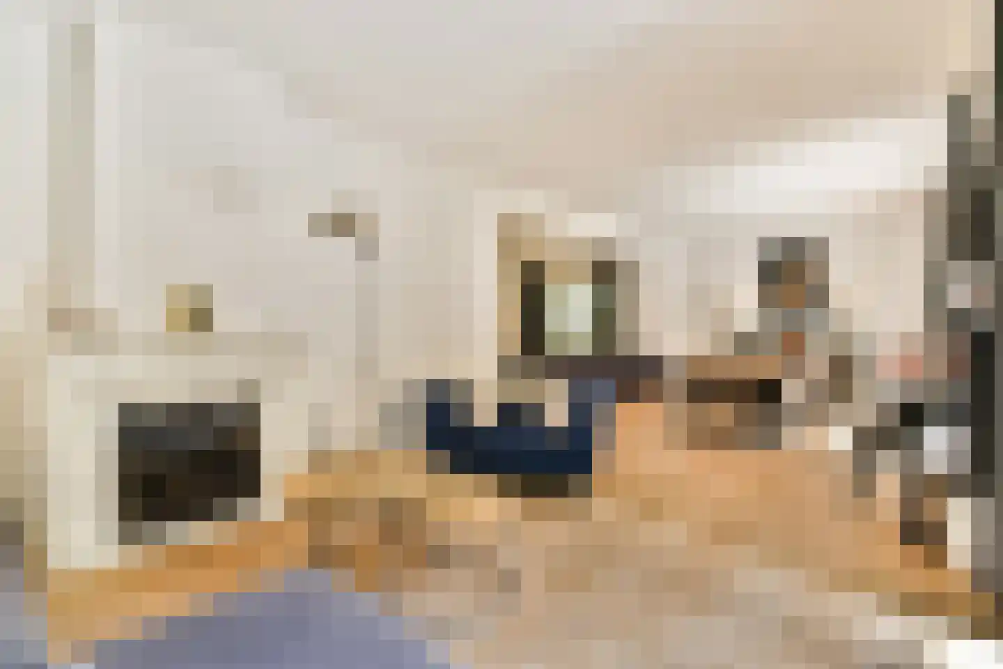 Klein Persijnlaan 35 Wassenaar thumbnail 12