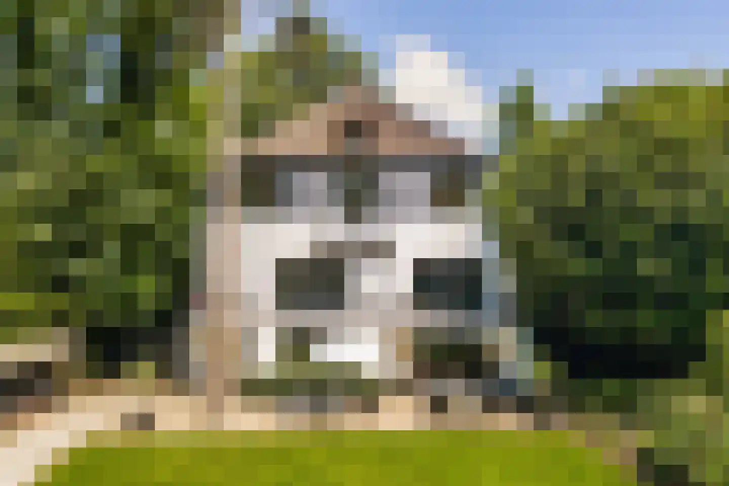 Klein Persijnlaan 35 Wassenaar thumbnail 5