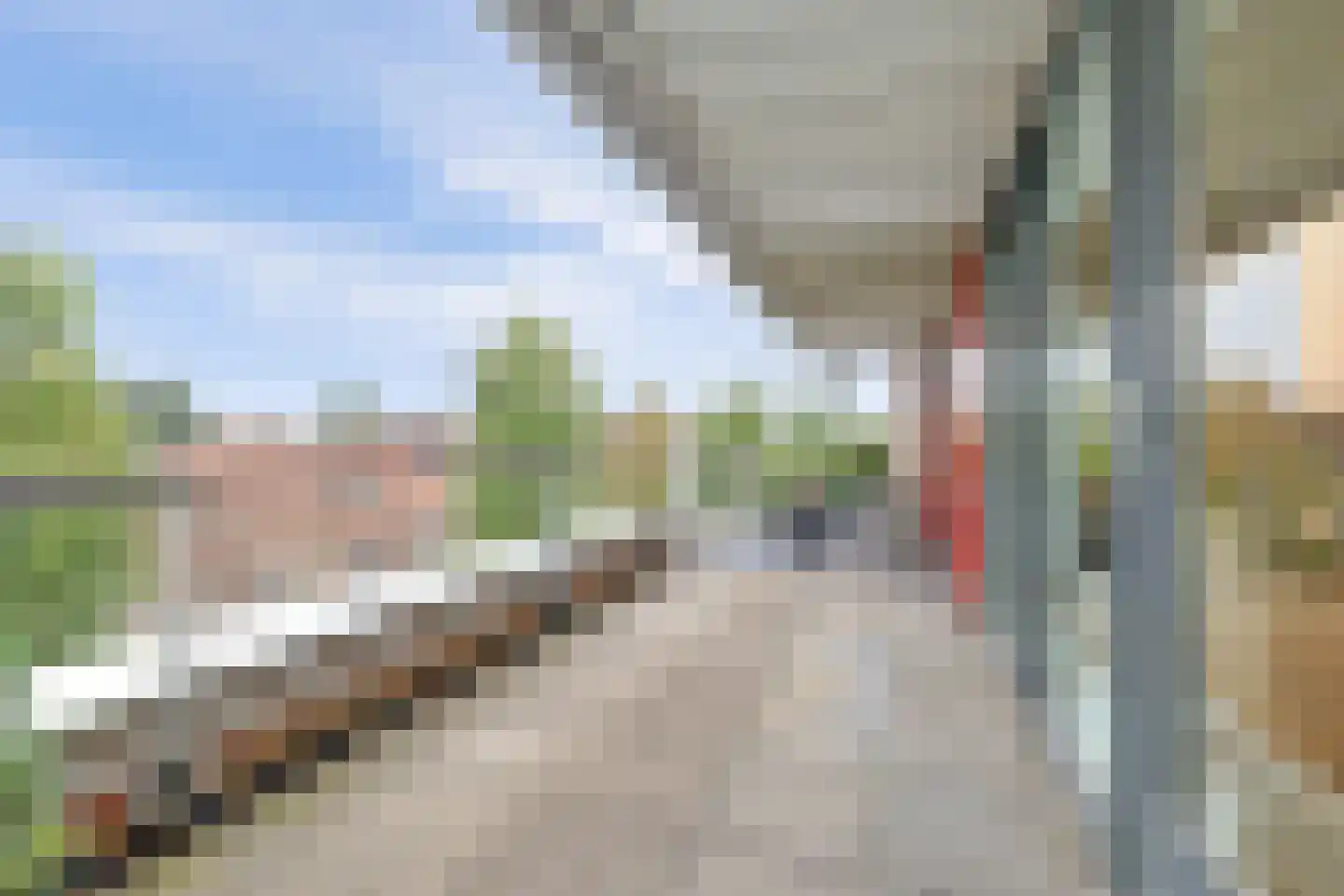 Klein Rog 18 Veenendaal thumbnail 14