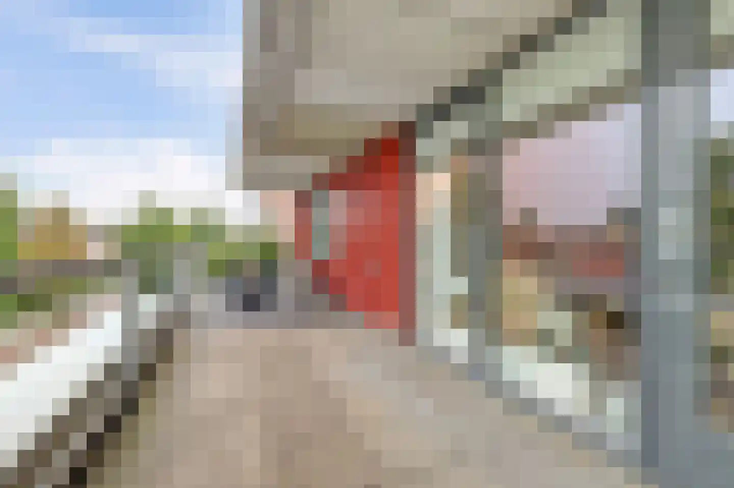 Klein Rog 18 Veenendaal thumbnail 15
