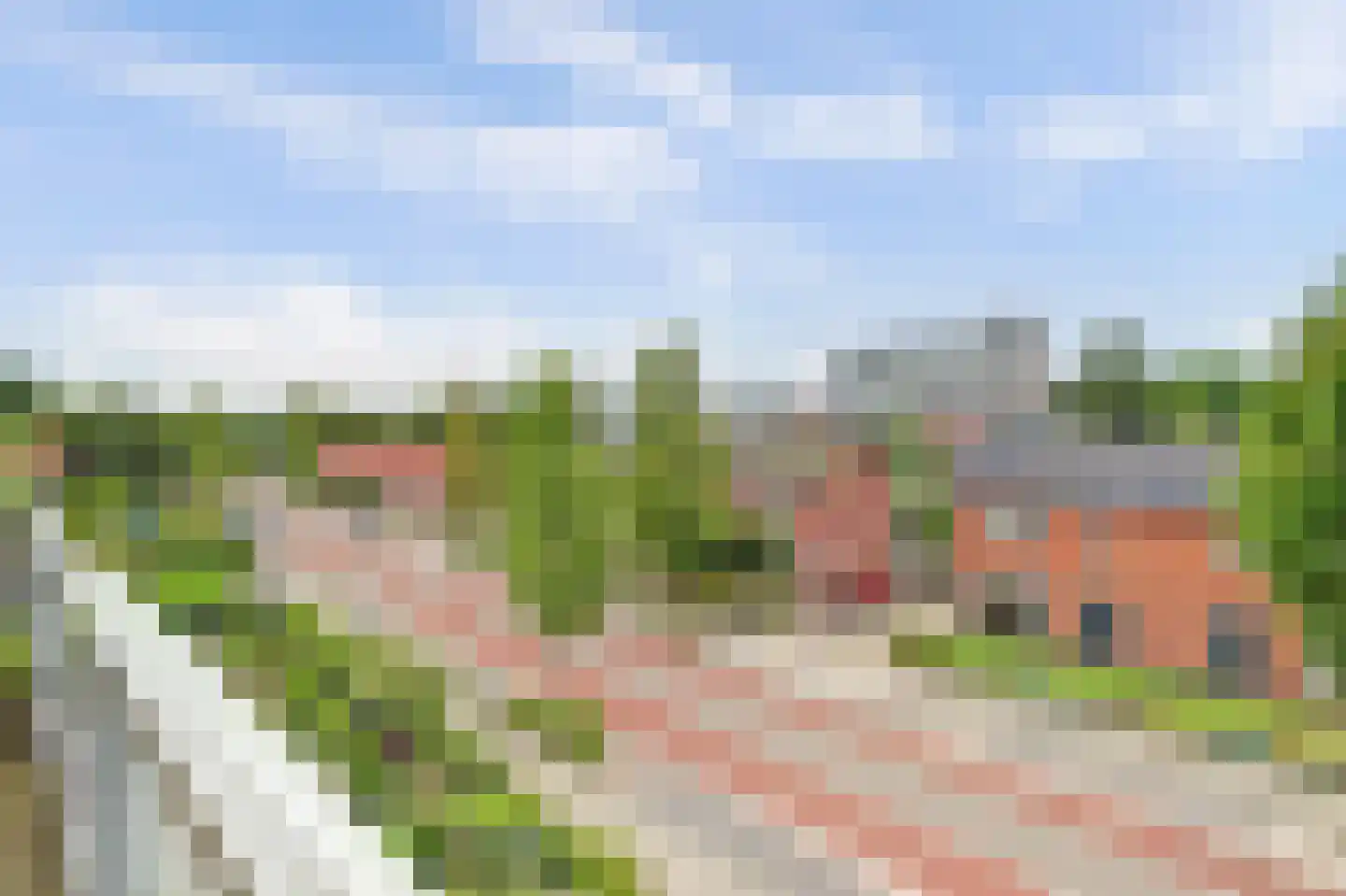 Klein Rog 18 Veenendaal thumbnail 28