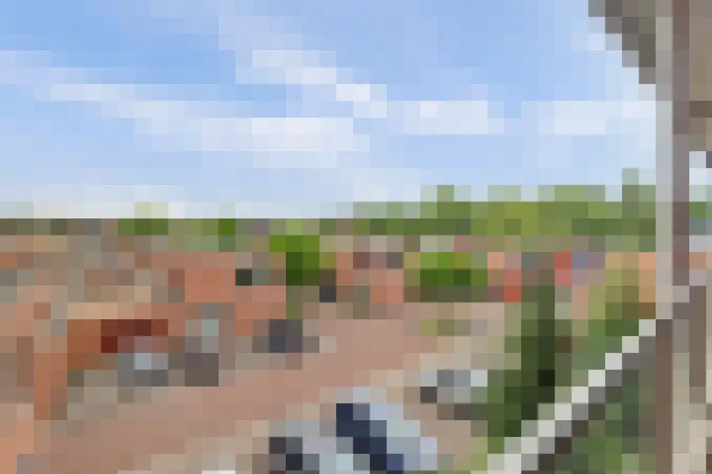 Klein Rog 18 Veenendaal thumbnail 30