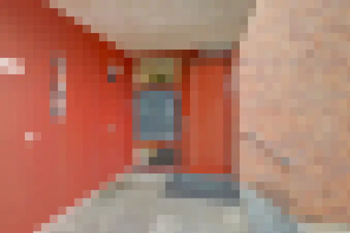 Klein Rog 18 Veenendaal thumbnail 31