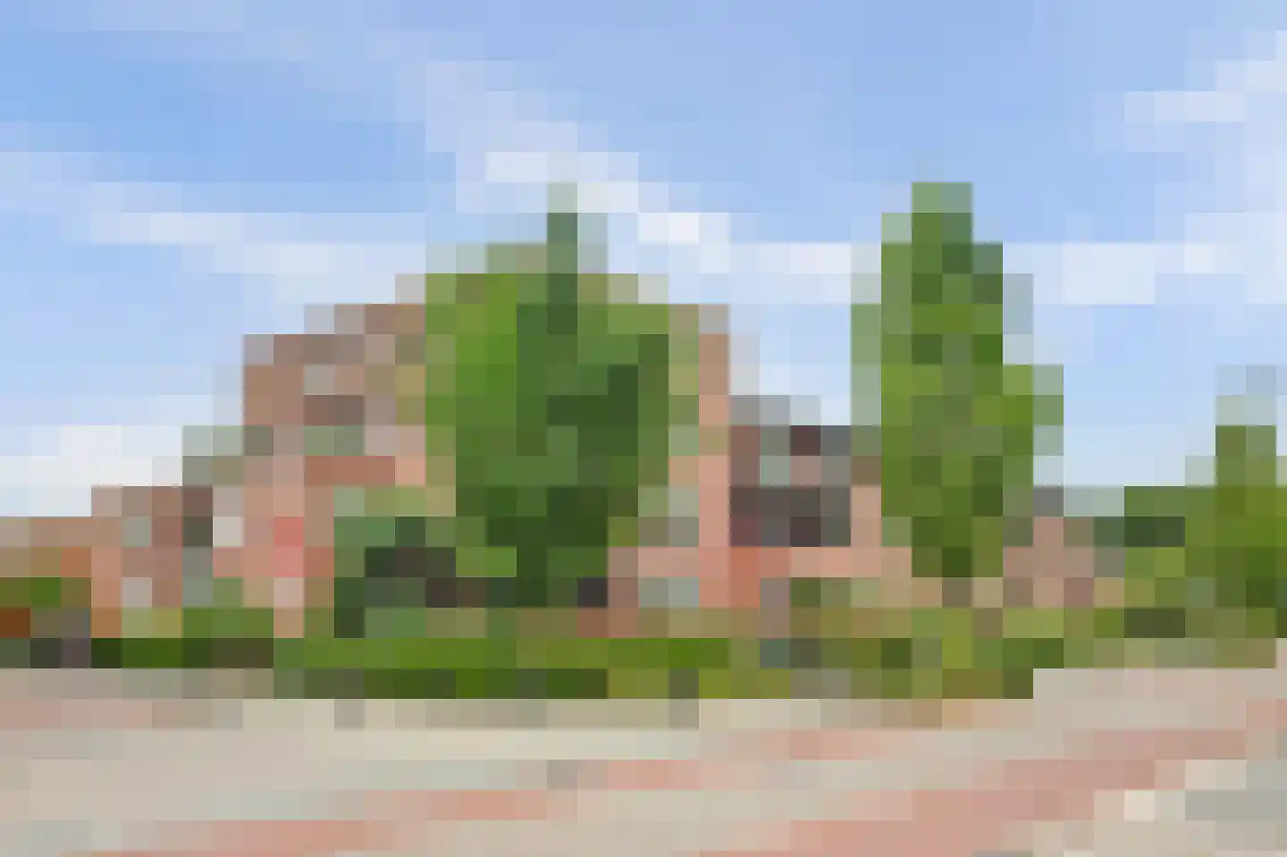 Klein Rog 18 Veenendaal thumbnail 38