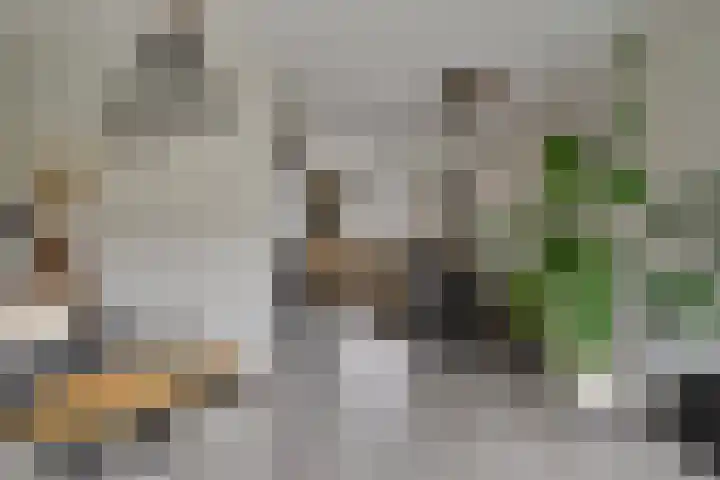 Klein Rondeel 8 Boekel thumbnail 15