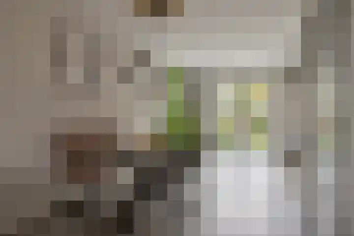 Klein Rondeel 8 Boekel thumbnail 18