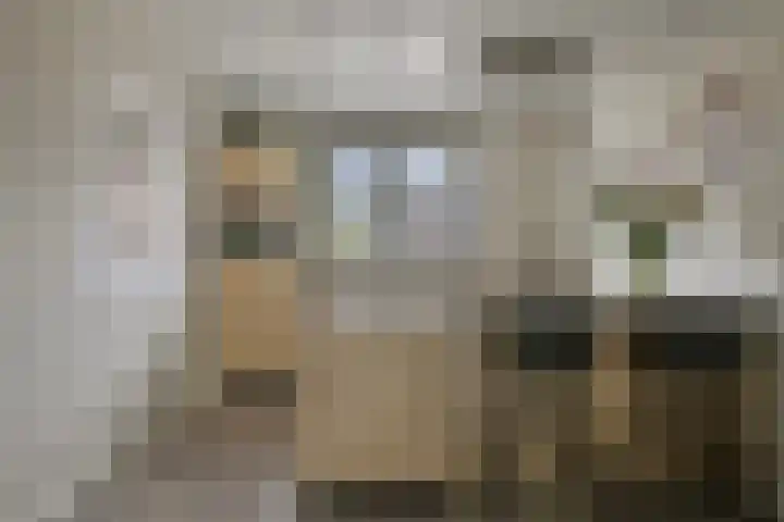 Klein Rondeel 8 Boekel thumbnail 19