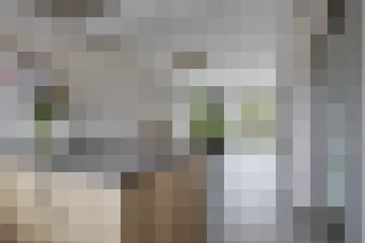 Klein Rondeel 8 Boekel thumbnail 22