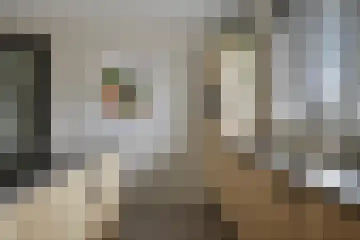 Klein Rondeel 8 Boekel thumbnail 23