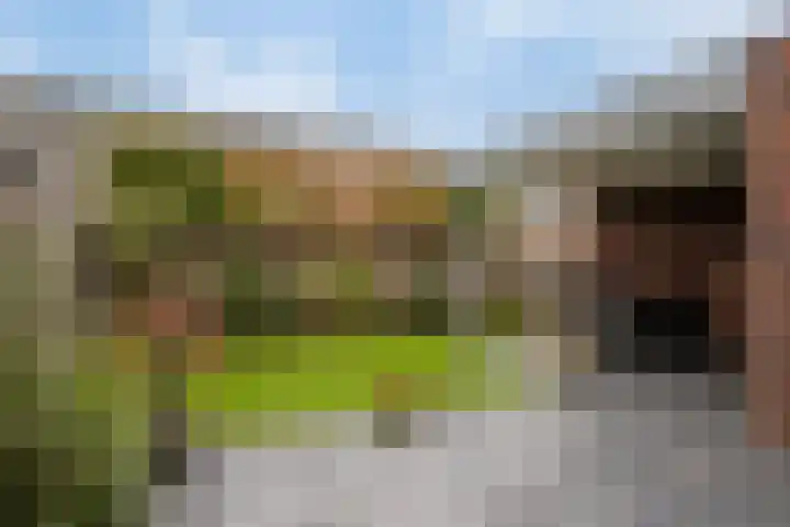 Klein Rondeel 8 Boekel thumbnail 36