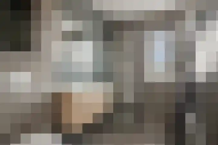Klein Rondeel 8 Boekel thumbnail 5