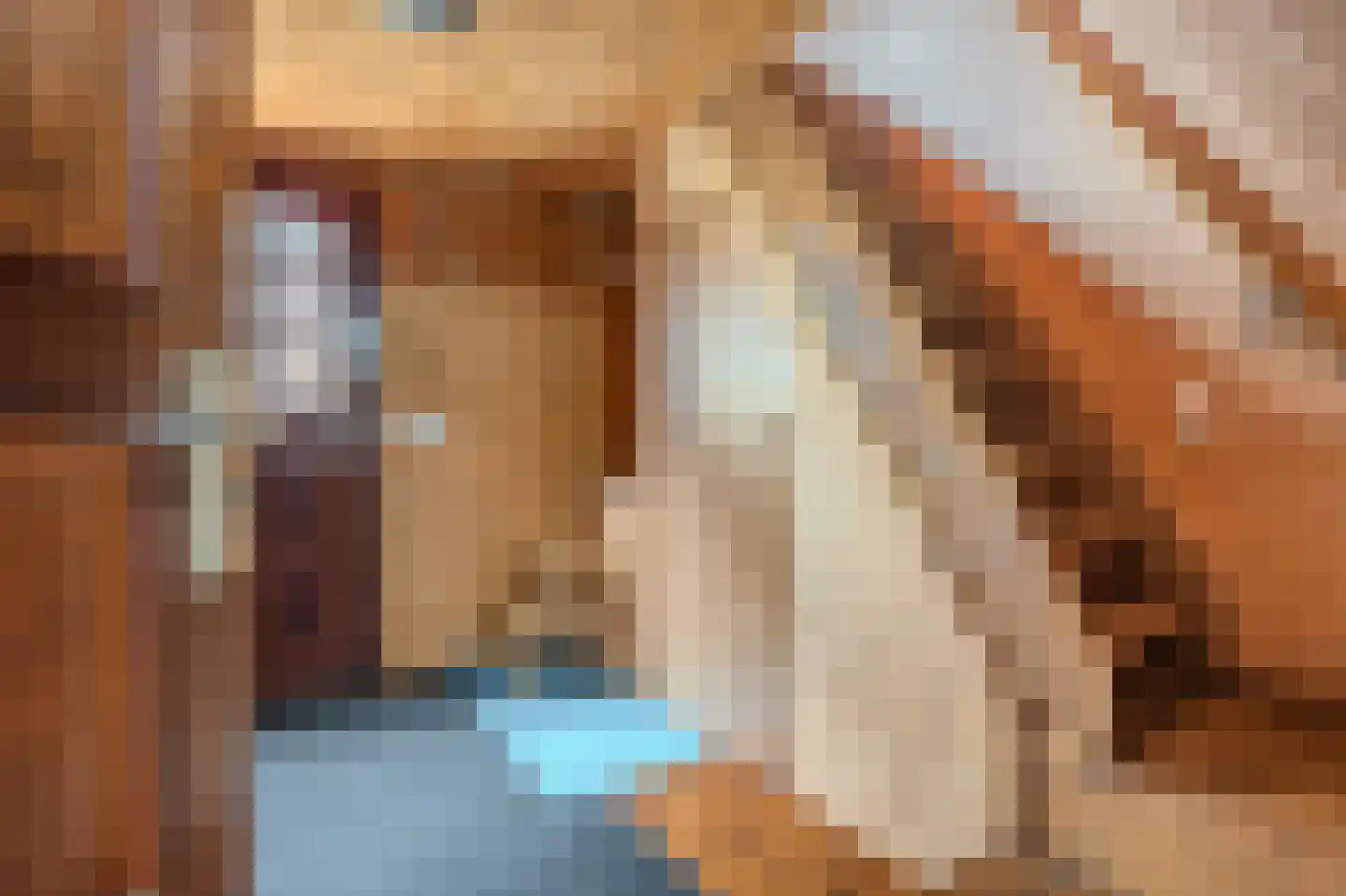 Klein Scheveningen 4 Kropswolde thumbnail 11
