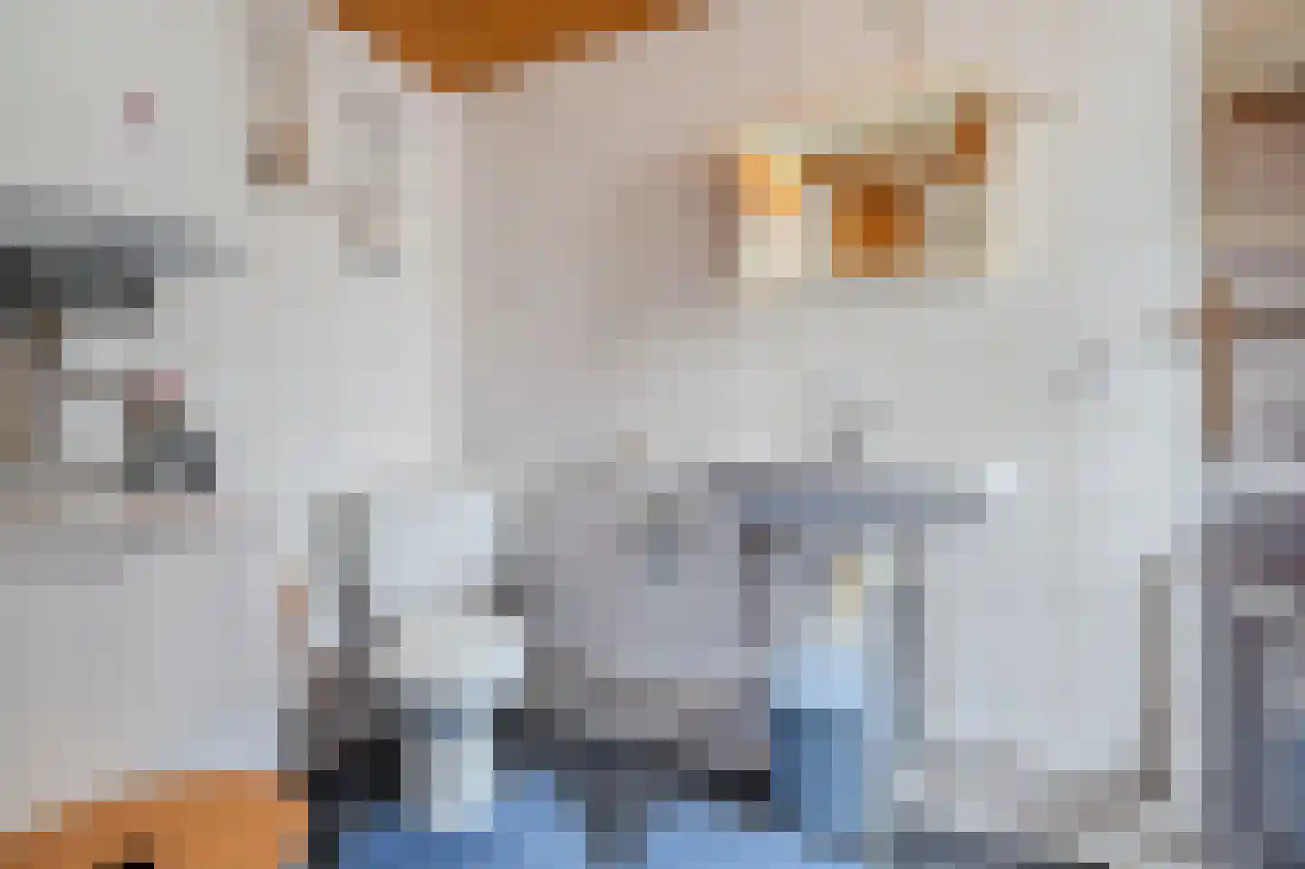 Klein Scheveningen 4 Kropswolde thumbnail 12