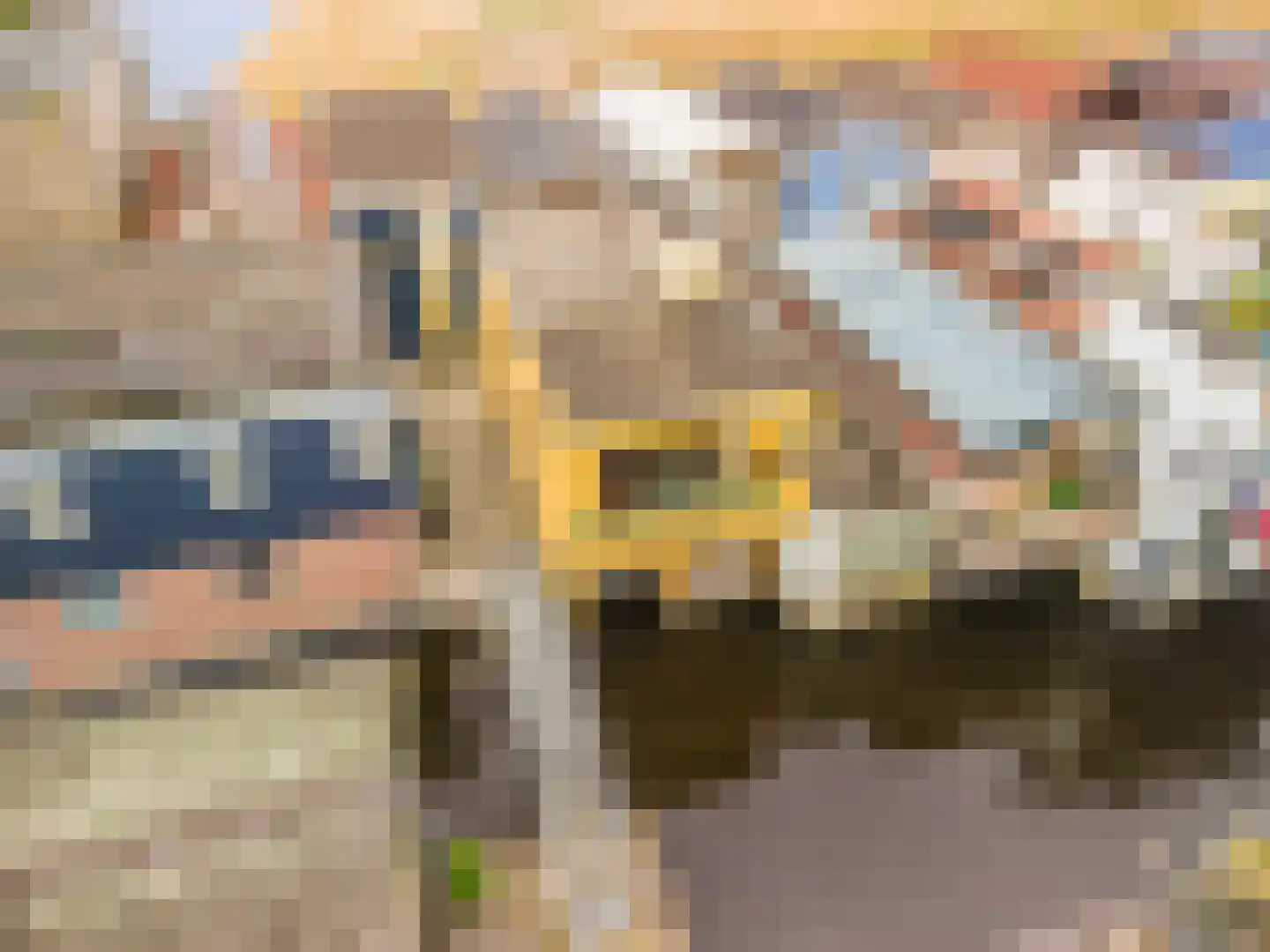 Klein Scheveningen 4 Kropswolde thumbnail 34