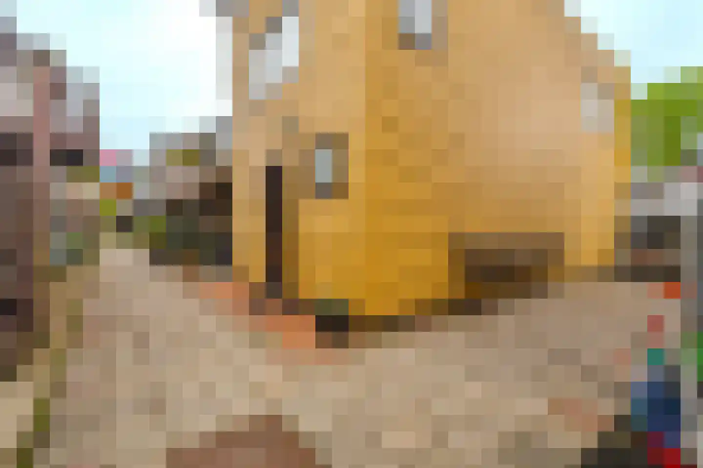 Klein Scheveningen 4 Kropswolde thumbnail 8