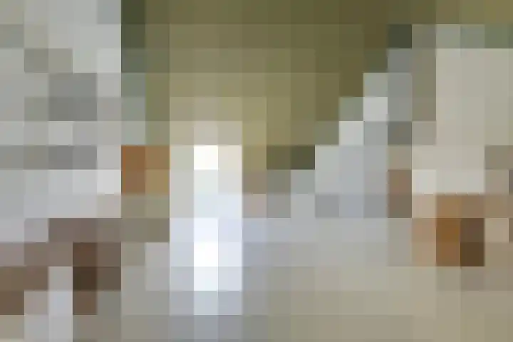 Klein Sonsbeek 5 Werkhoven thumbnail 21