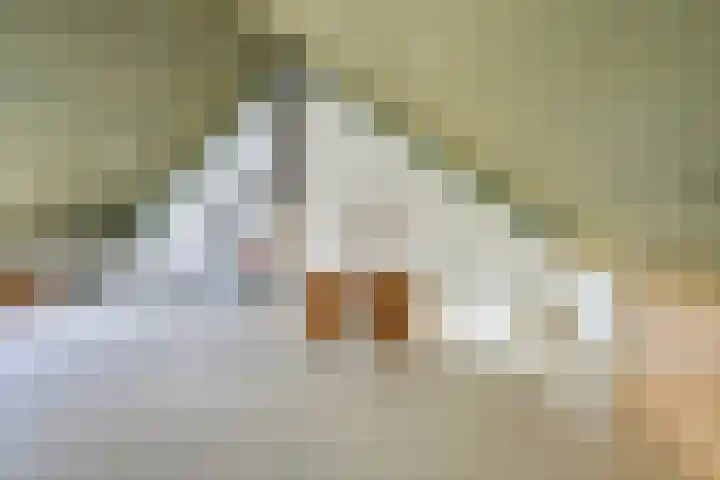 Klein Sonsbeek 5 Werkhoven thumbnail 22