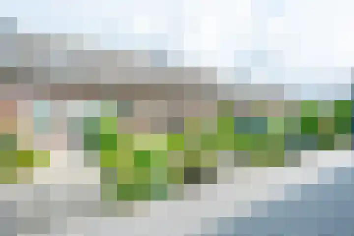 Klein Sonsbeek 5 Werkhoven thumbnail 28