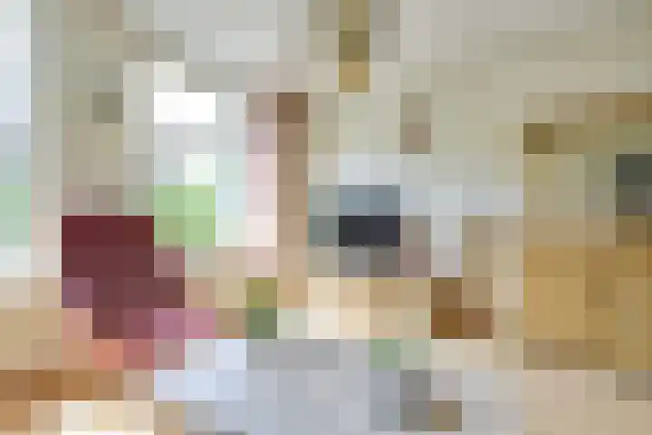 Klein Sonsbeek 5 Werkhoven thumbnail 5