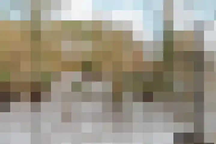 Klein Vijverdal 25 Arnhem thumbnail 23