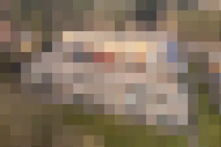 Klein Vijverdal 25 Arnhem thumbnail 44