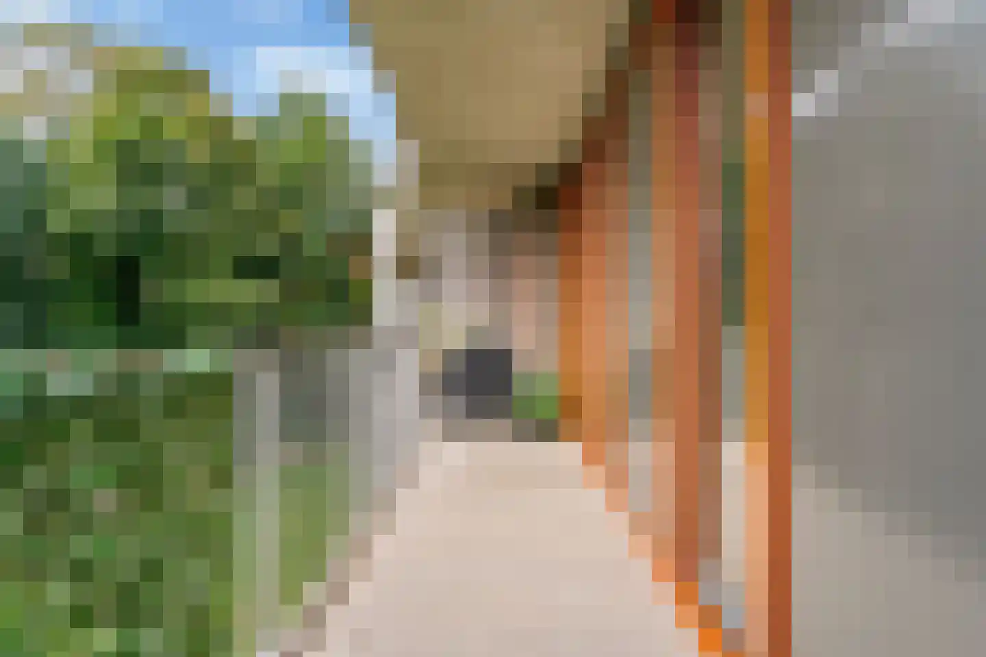 Klein Vijverdal 32 Arnhem thumbnail 24