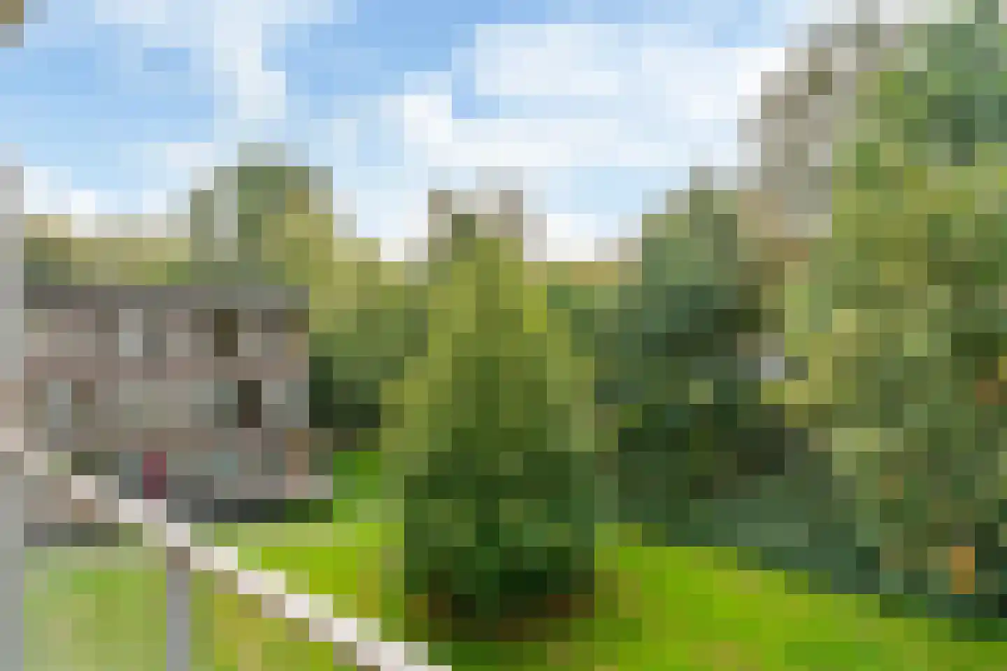 Klein Vijverdal 32 Arnhem thumbnail 25