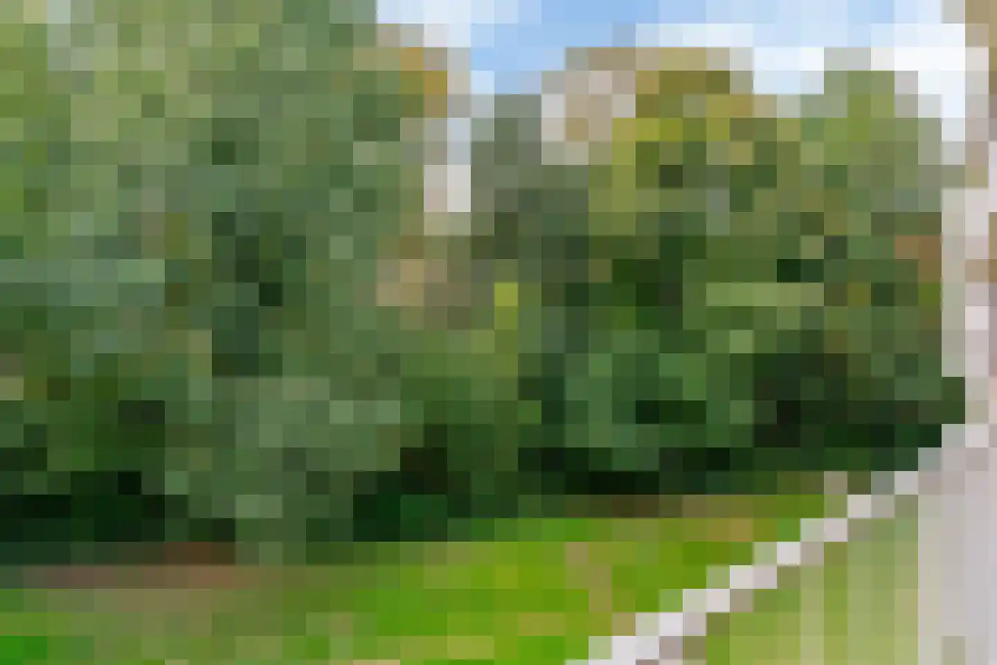Klein Vijverdal 32 Arnhem thumbnail 26