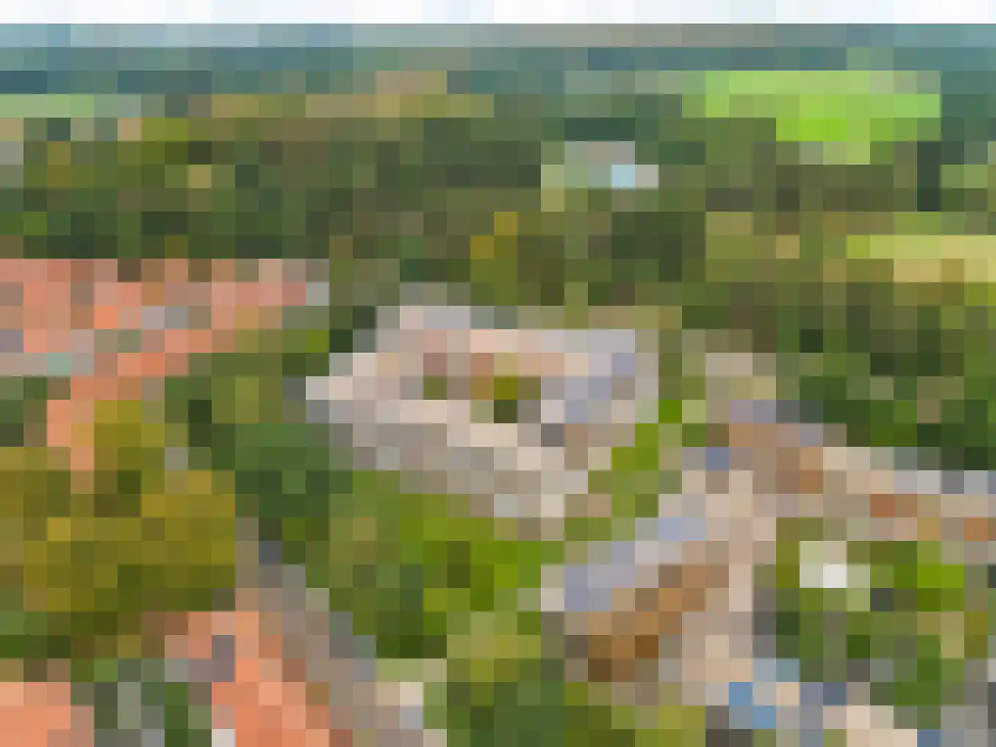 Klein Vijverdal 32 Arnhem thumbnail 39