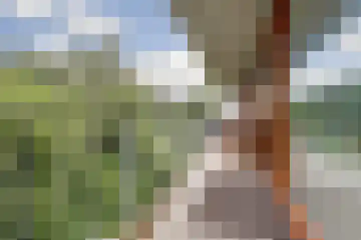 Klein Vijverdal 42 Arnhem thumbnail 31