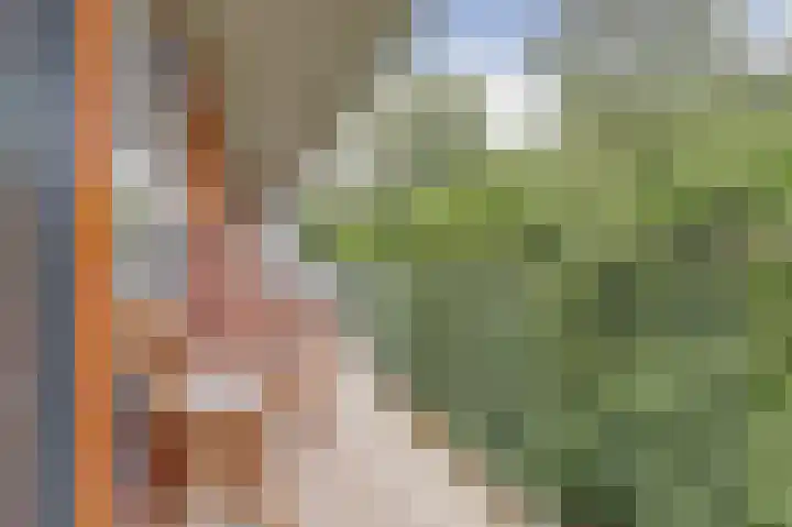 Klein Vijverdal 42 Arnhem thumbnail 32