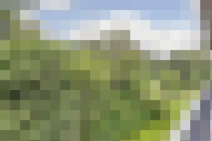 Klein Vijverdal 42 Arnhem thumbnail 33