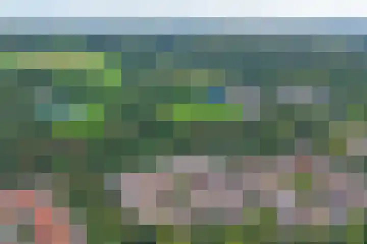 Klein Vijverdal 42 Arnhem thumbnail 38