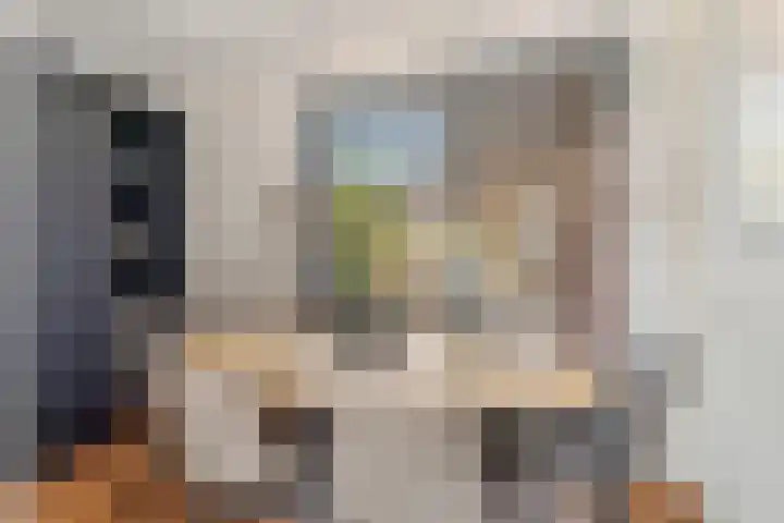 Klein Vijverdal 44 Arnhem thumbnail 11