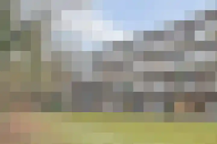Klein Vijverdal 49 Arnhem thumbnail 5