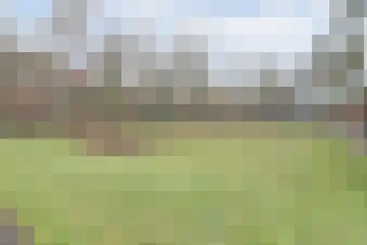 Klein Vijverdal 49 Arnhem thumbnail 54