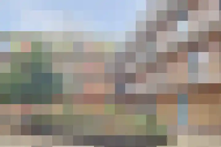 Klein Vijverdal 49 Arnhem thumbnail 7