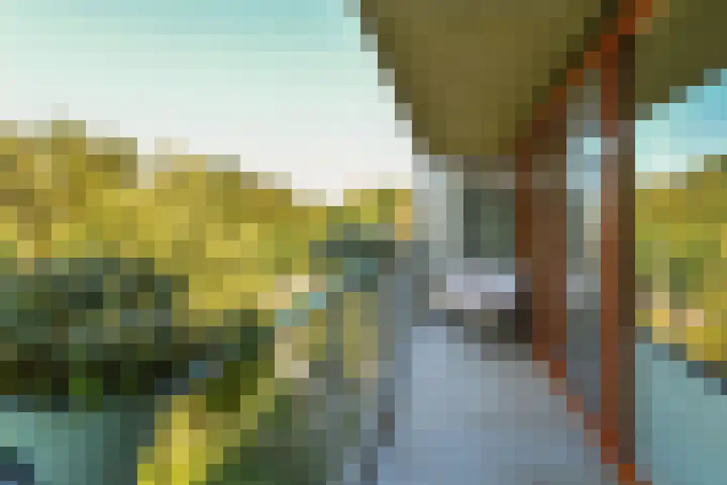 Klein Vijverdal 64 Arnhem thumbnail 13