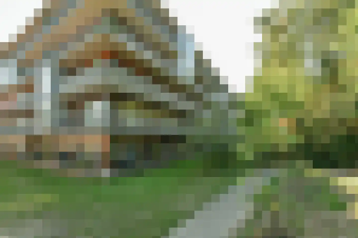 Klein Vijverdal 64 Arnhem thumbnail 29