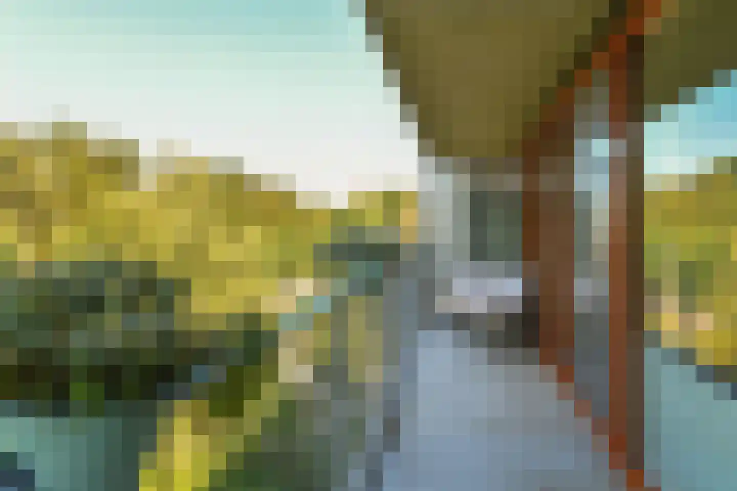 Klein Vijverdal 64 Arnhem thumbnail 5