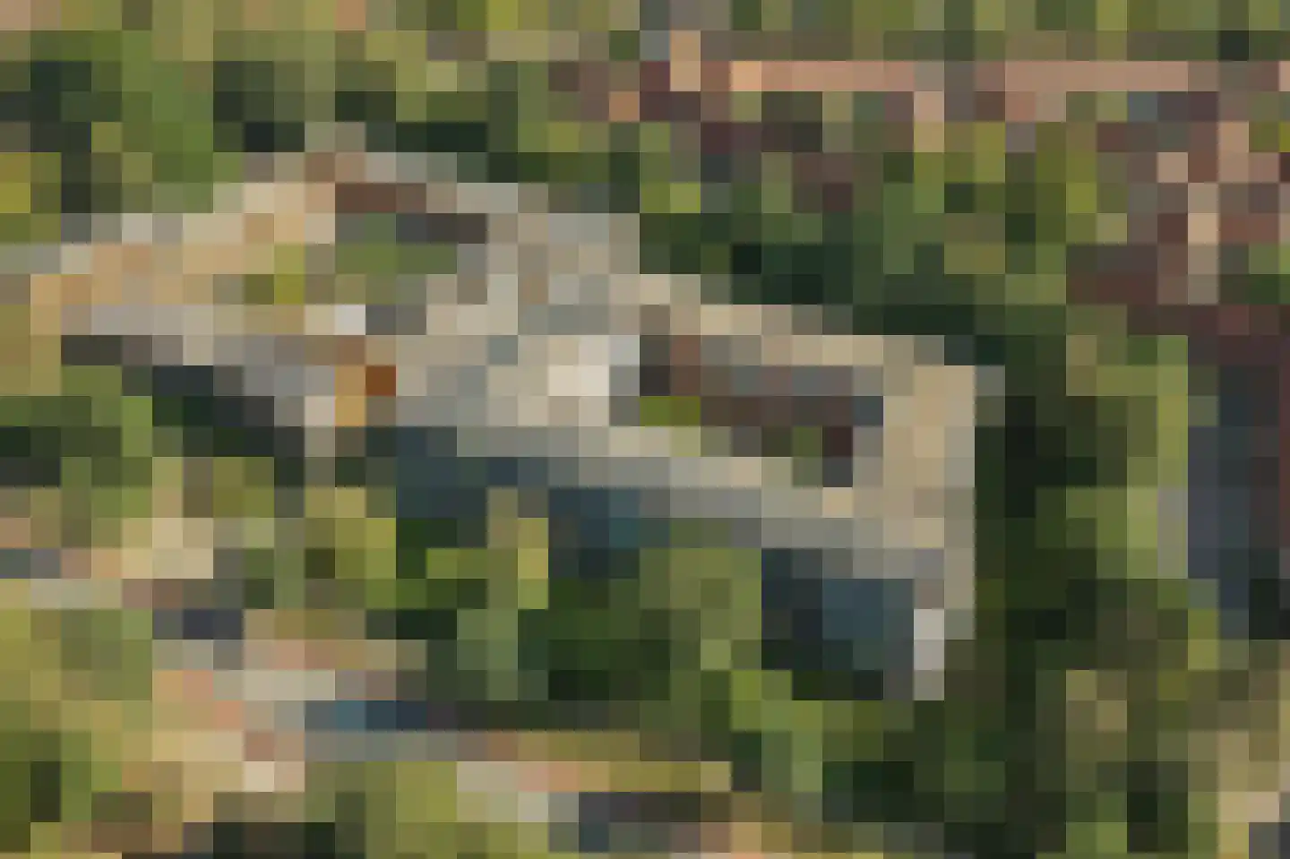Klein Vijverdal 64 Arnhem thumbnail 6