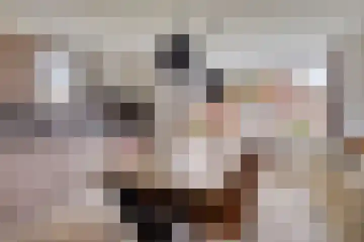 Klein Vink 4 2310 Arcen thumbnail 10